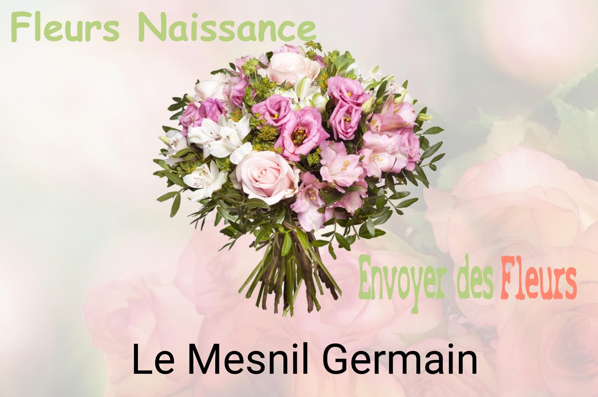 Bouquet de fleurs de naissance livré à Le Mesnil-Germain